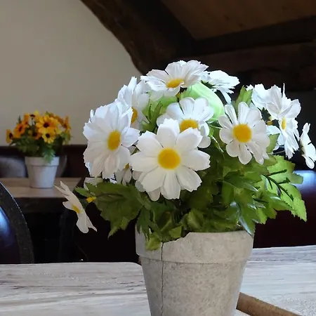 Kersenhof Vandrerhjem Uden