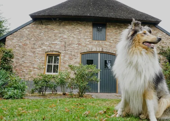 Hostel Kersenhof Uden