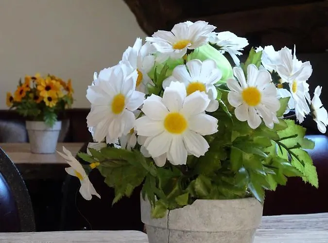 Kersenhof Hostel Uden