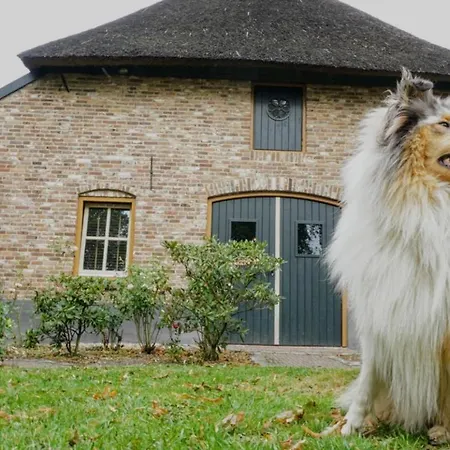 Hostel Kersenhof Uden