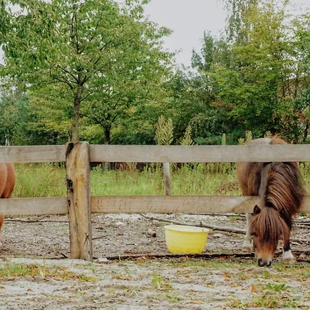 Albergue Kersenhof Uden