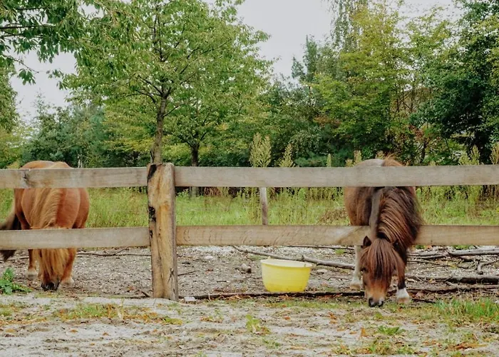 Hostel Kersenhof Uden